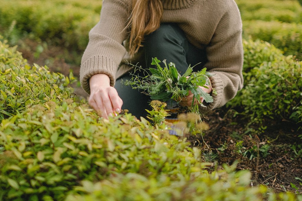 Donna al lavoro in agricoltura