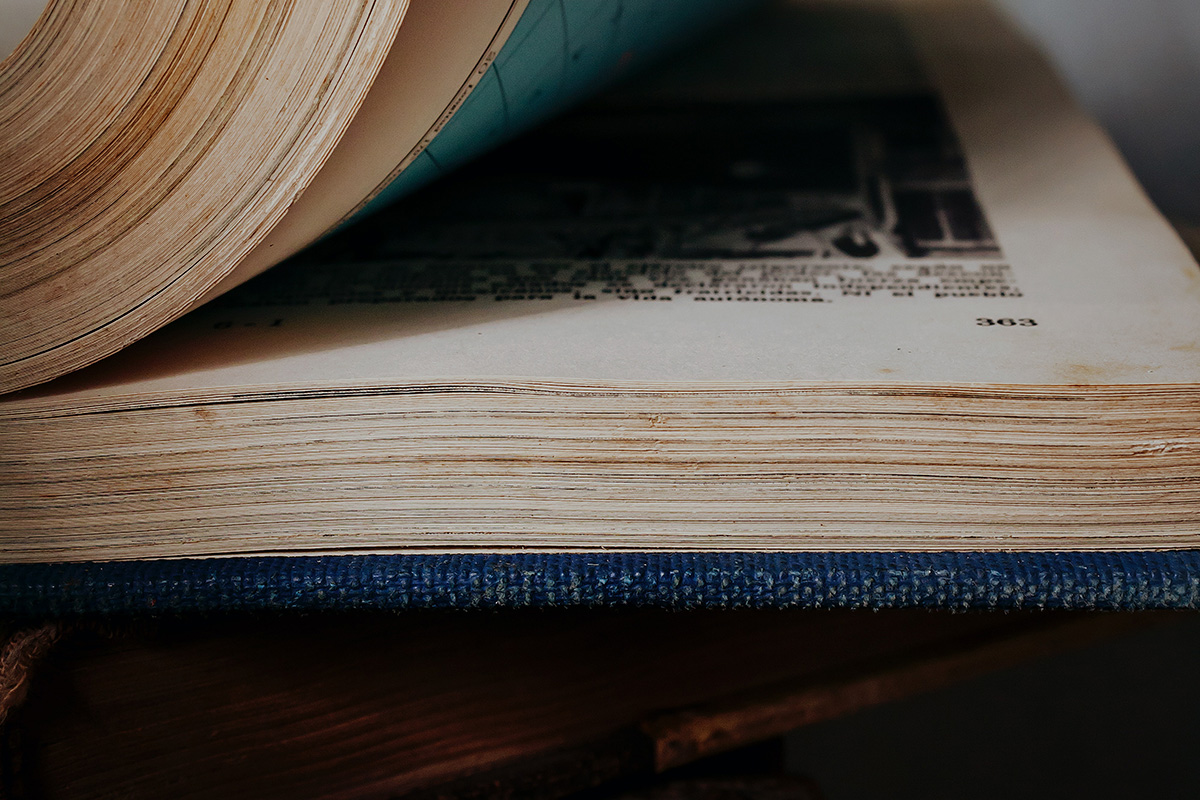 Curare l'ecoansia con lo studio della storia